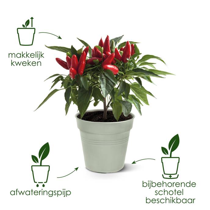 green basics kweekpot 21cm faded lila